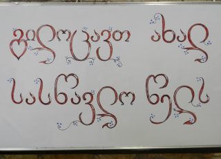 DSCN3701