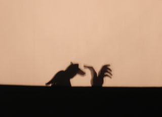 DSCN4198