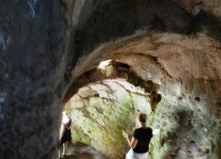 DSCN6747