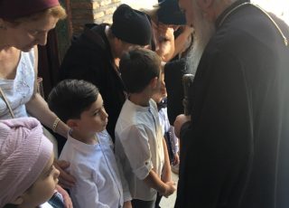 dalocva6