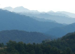 DSCN4987
